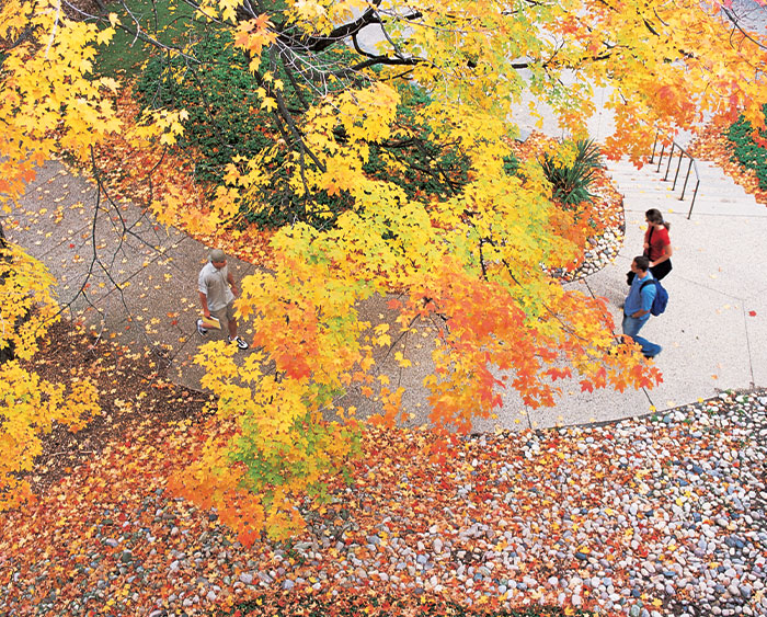 How to Leave a Charitable Legacy and Provide for Adult Children with Your IRA